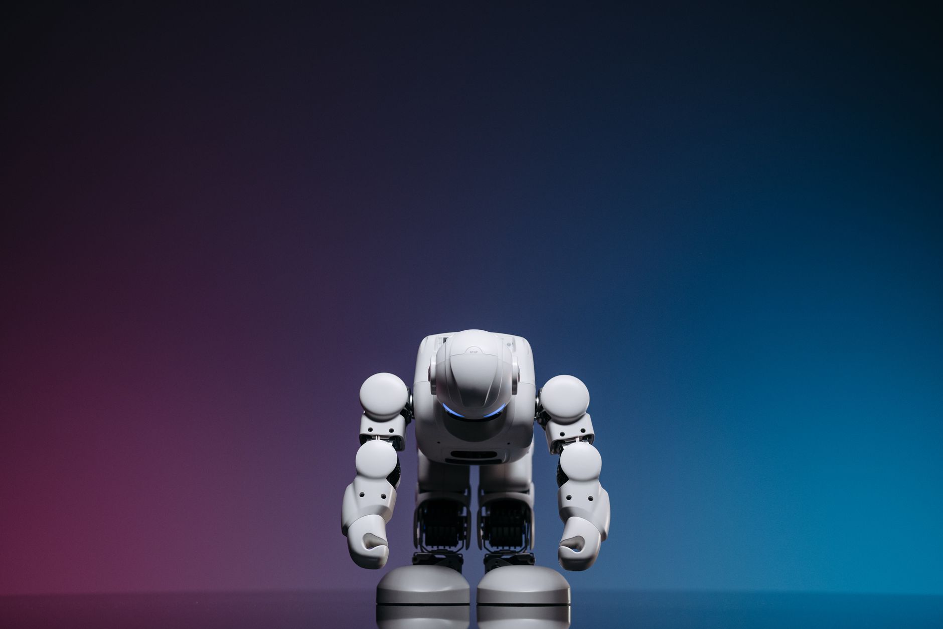 close up shot of white toy robot on blue and pink background